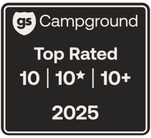 Top Rated 10